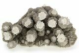 Cave Calcite Flower Stalactites - China #226190-4